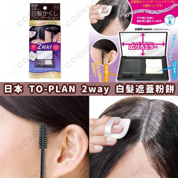 japan-to-plan-2way-gray-hair-cover-dark-brown-powder